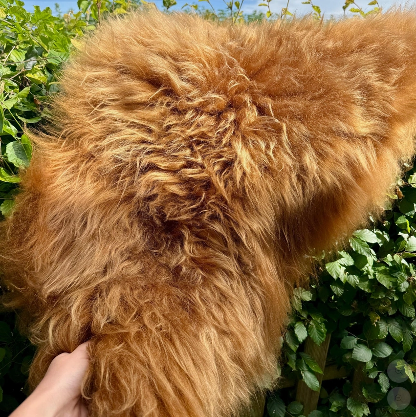 Highland Cow Sheepskin Rug