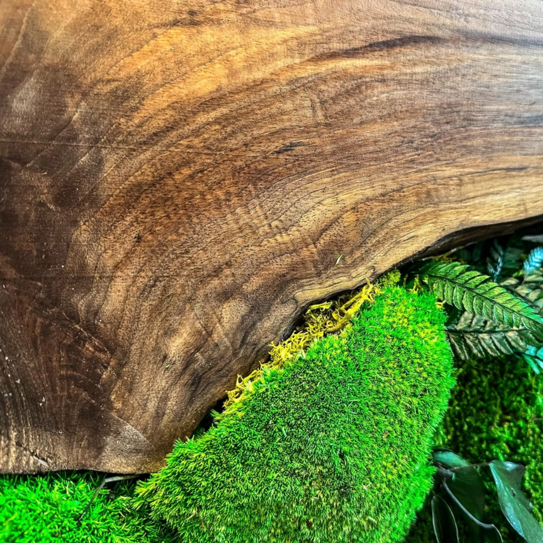 Moss Wall Art with Led Lights