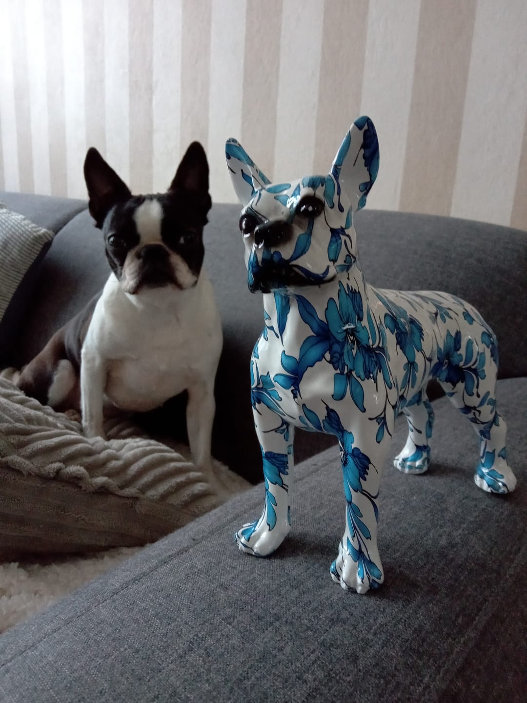 Abstract Boston Terrier Sculpture - Floral Fawna