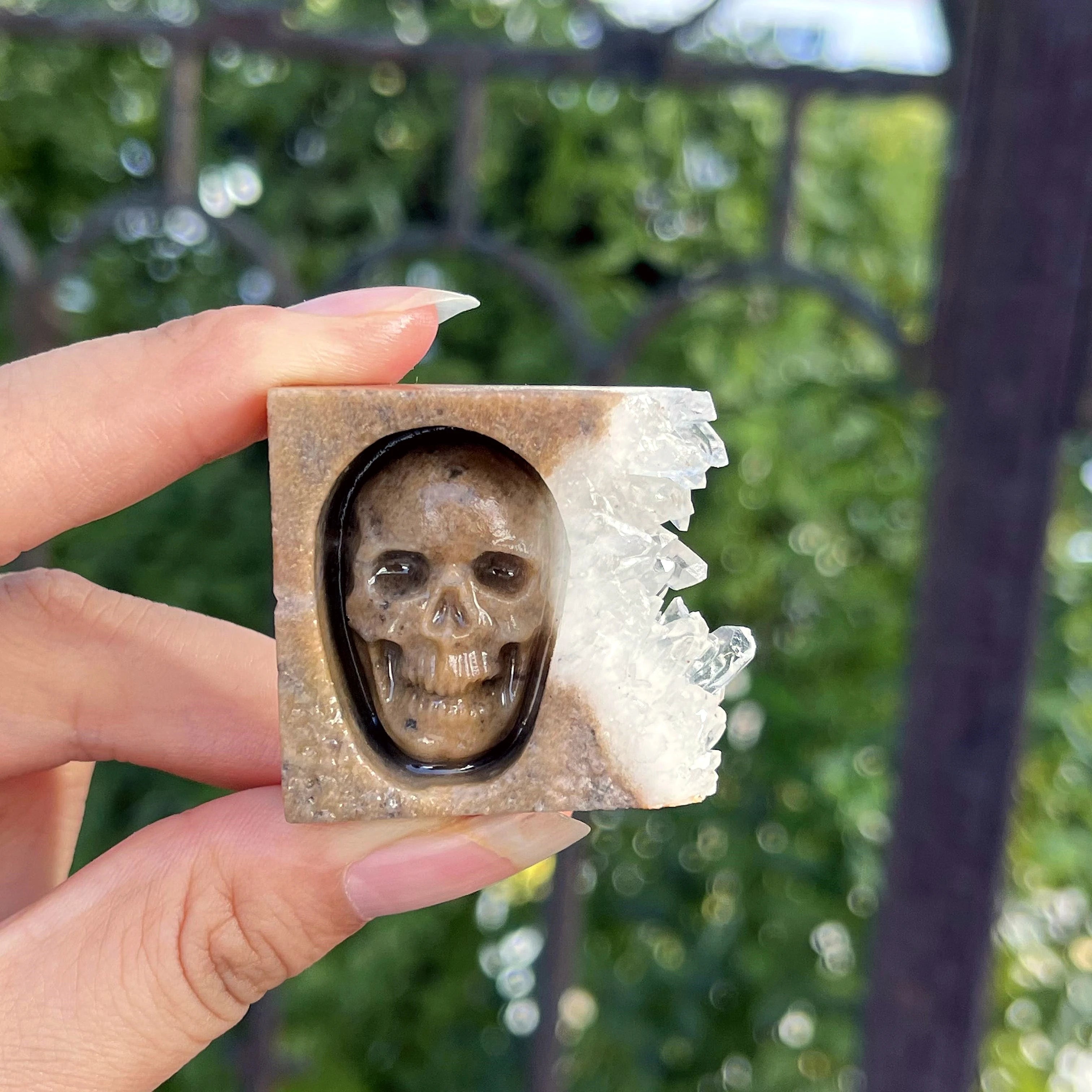 Chrysanthemum Quartz Skull Crystal - Floral Fawna