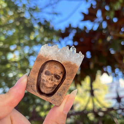 Chrysanthemum Quartz Skull Crystal - Floral Fawna
