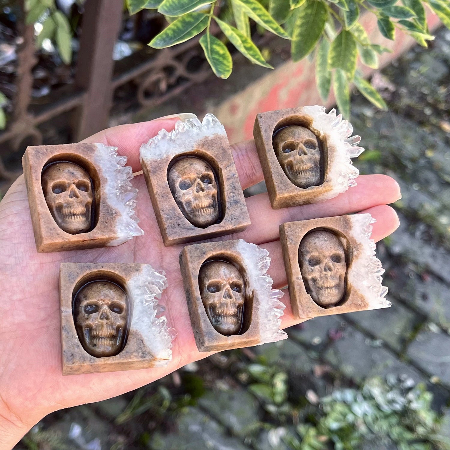 Chrysanthemum Quartz Skull Crystal - Floral Fawna