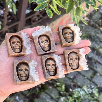 Chrysanthemum Quartz Skull Crystal - Floral Fawna