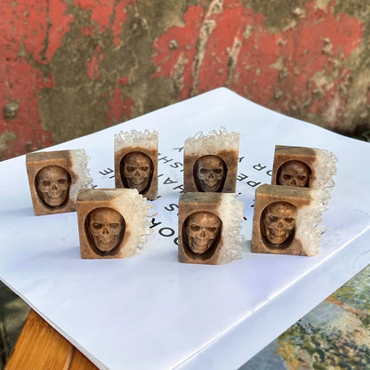 Chrysanthemum Quartz Skull Crystal - Floral Fawna