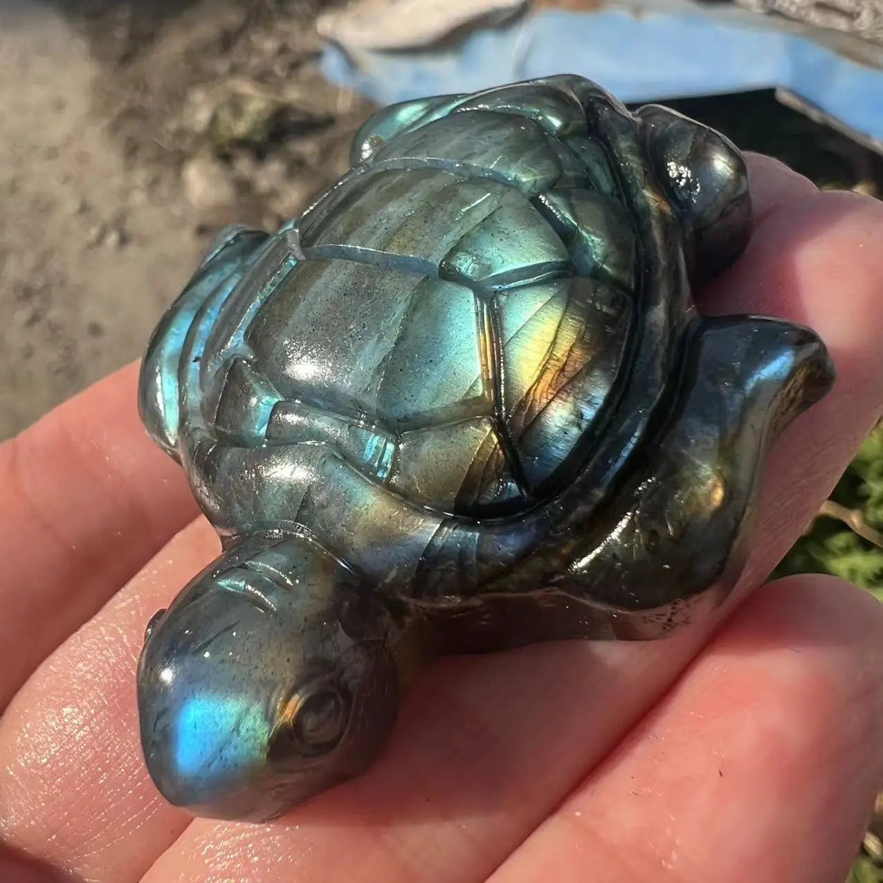 Labradorite Turtle Crystal - Floral Fawna