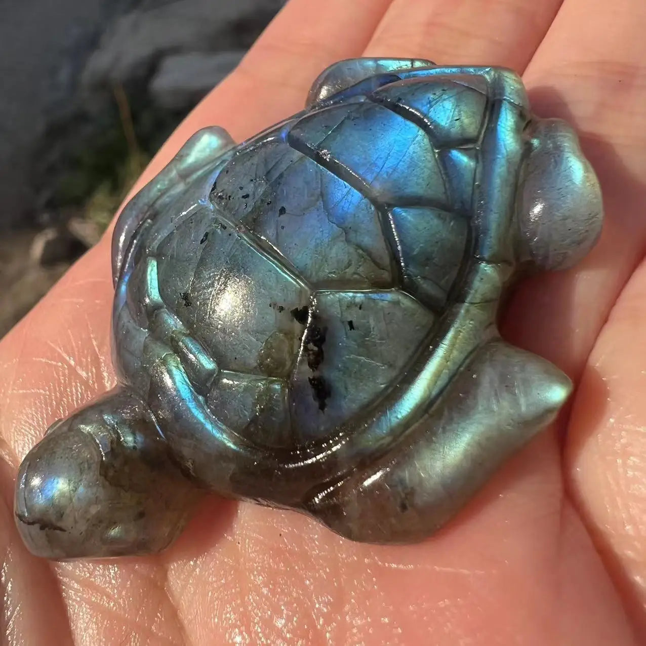 Labradorite Turtle Crystal - Floral Fawna