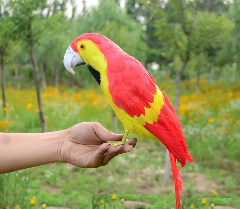 Realistic Parrot Sculpture