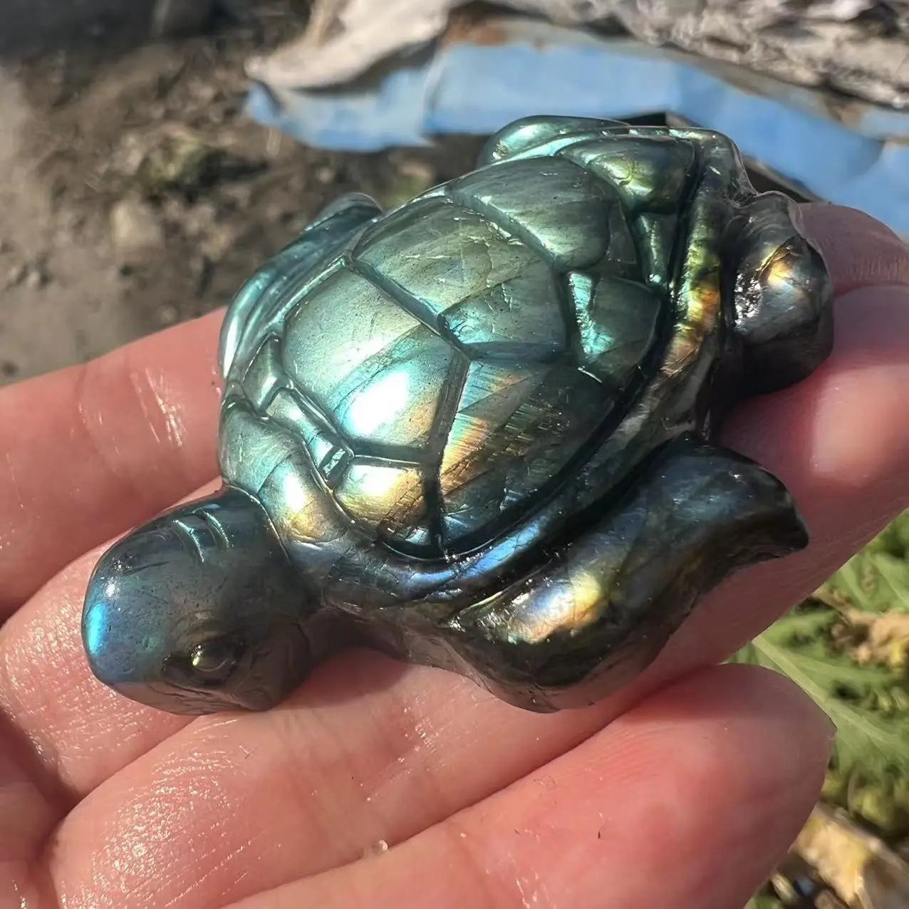 Labradorite Turtle Crystal - Floral Fawna