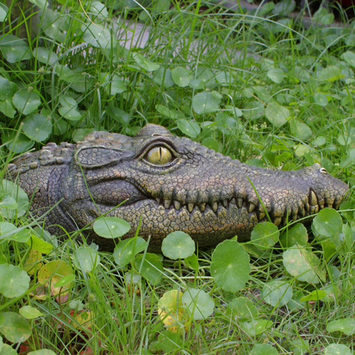 Floating Alligator Head Sculpture