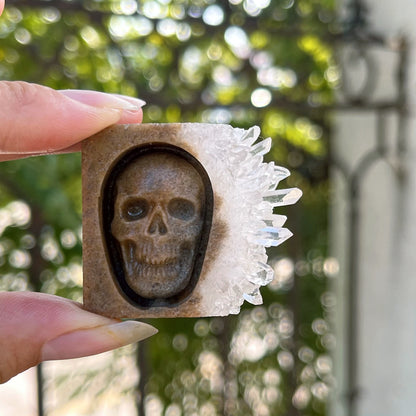 Chrysanthemum Quartz Skull Crystal - Floral Fawna