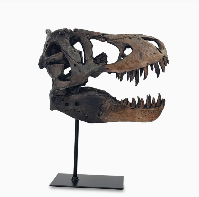 T-Rex On A Stand