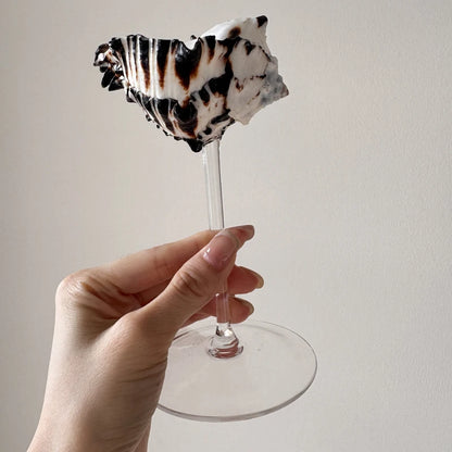 Natural Shell Glasses
