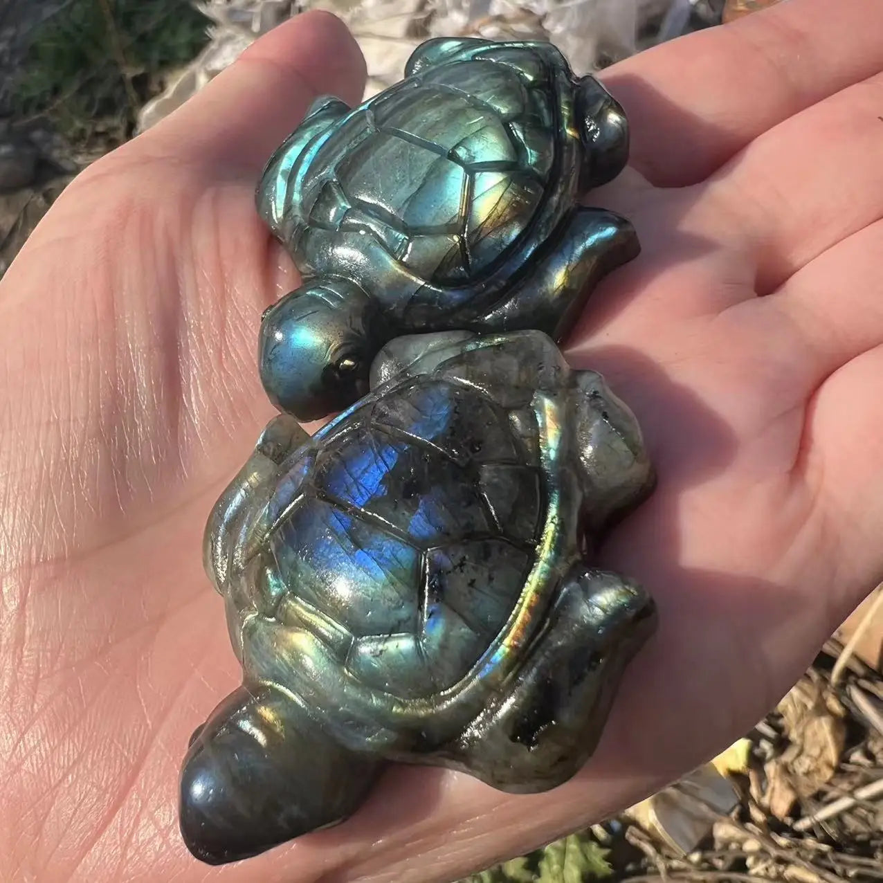 Labradorite Turtle Crystal - Floral Fawna