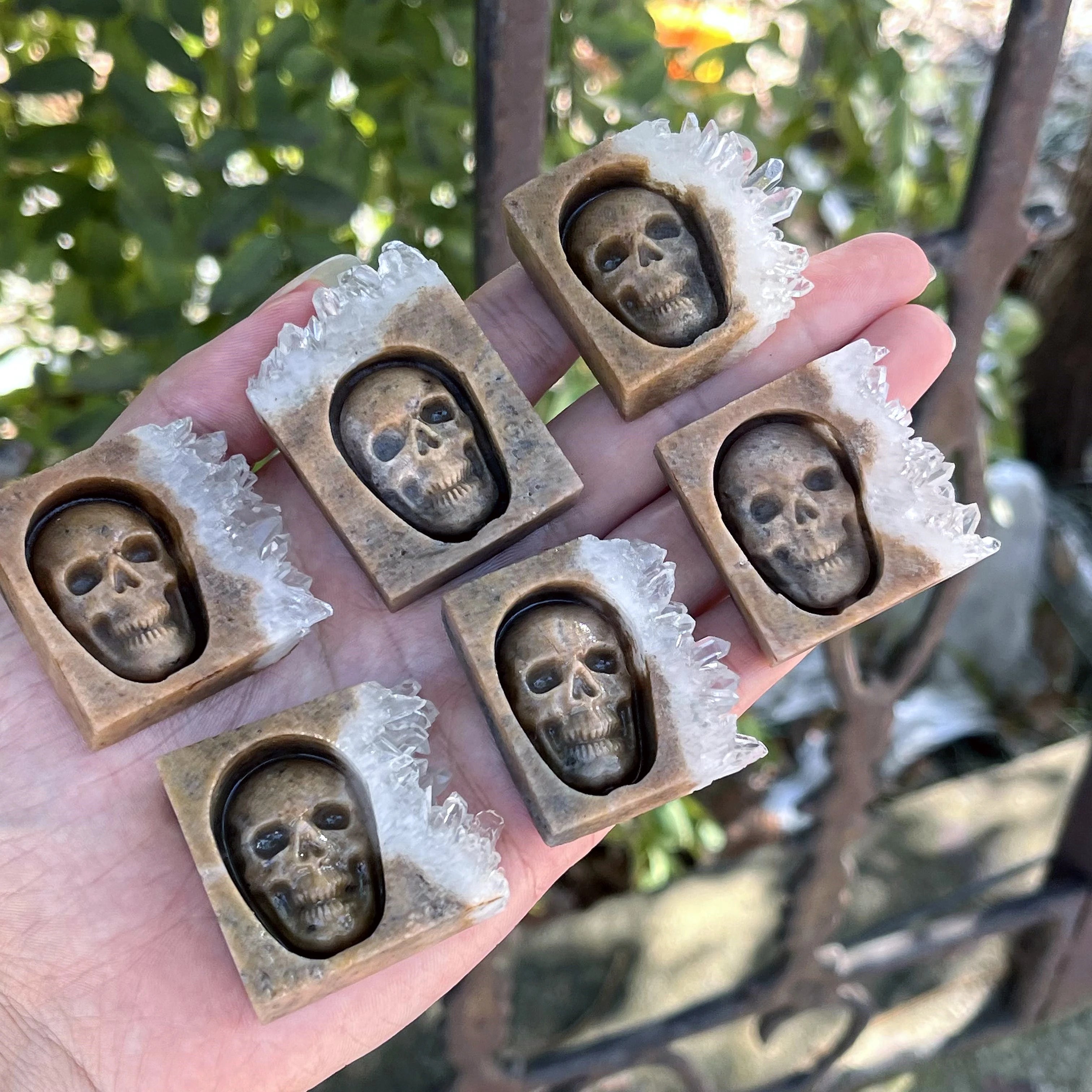 Chrysanthemum Quartz Skull Crystal - Floral Fawna