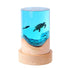 Marine Life Night Light - Floral Fawna