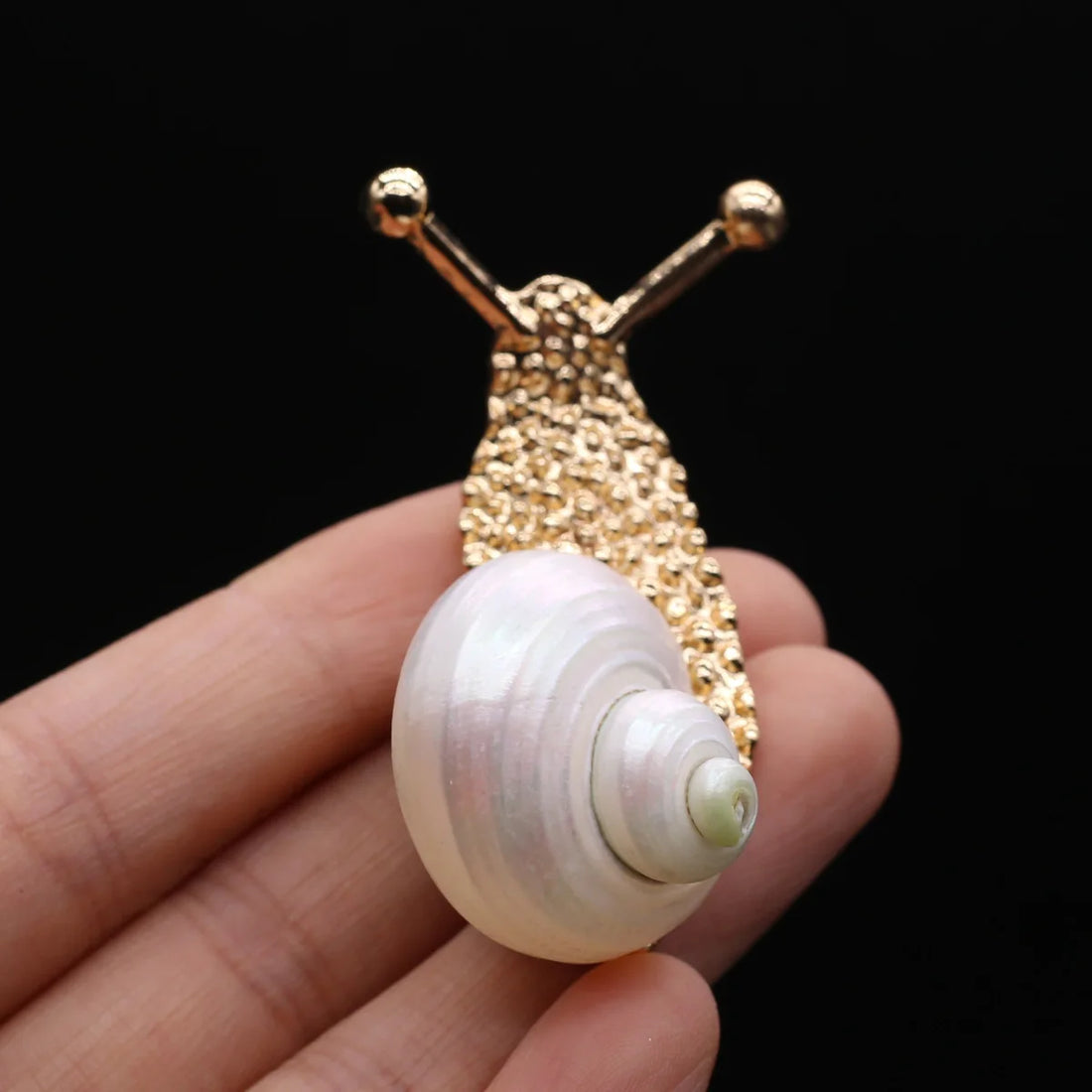 Sea Snail & Conch Shell Brooch - Floral Fawna