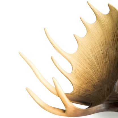 Large Moose Wall Hanging - Floral Fawna