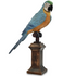 Macaw Parrot On Perch Ornament - Floral Fawna