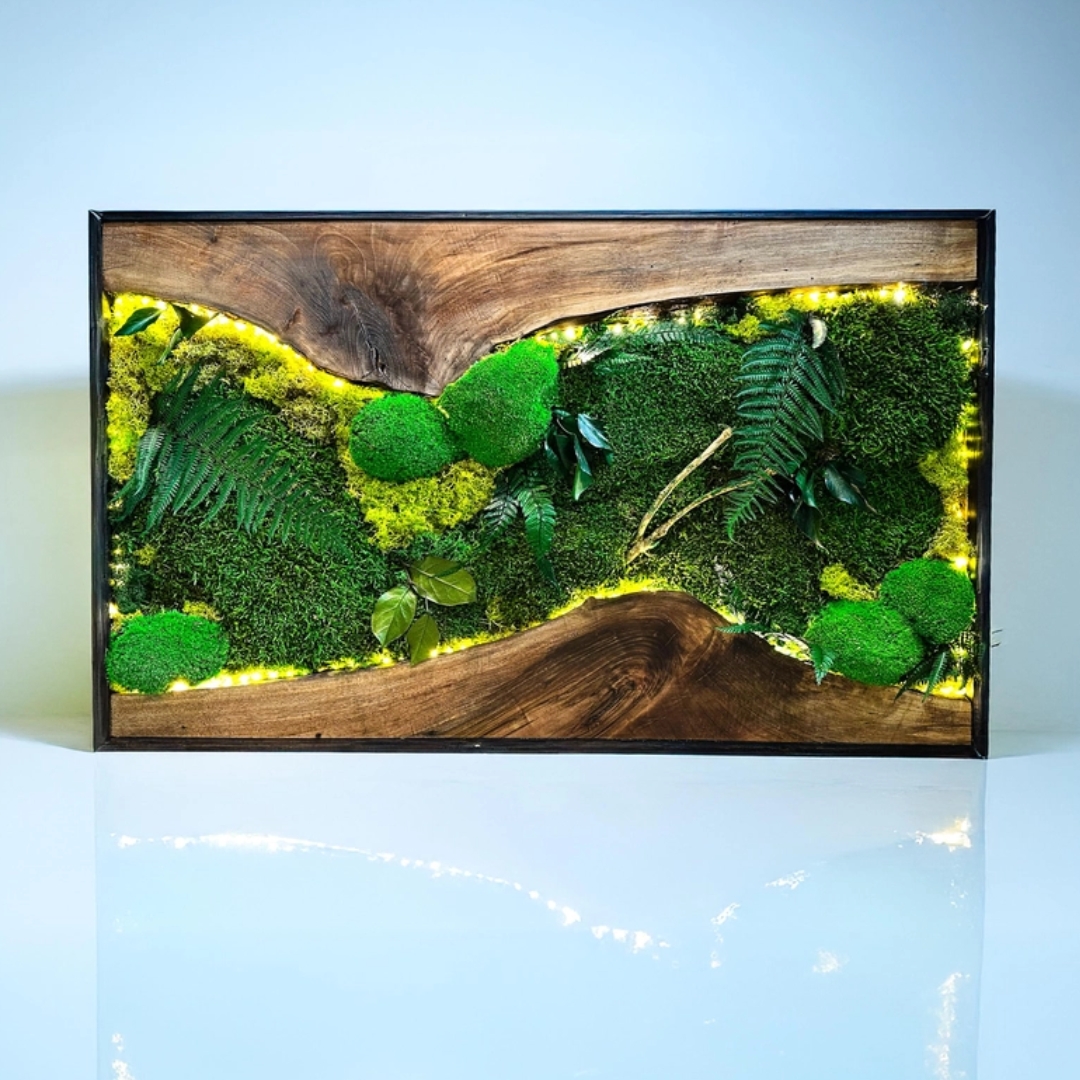 Moss Wall Art with Led Lights
