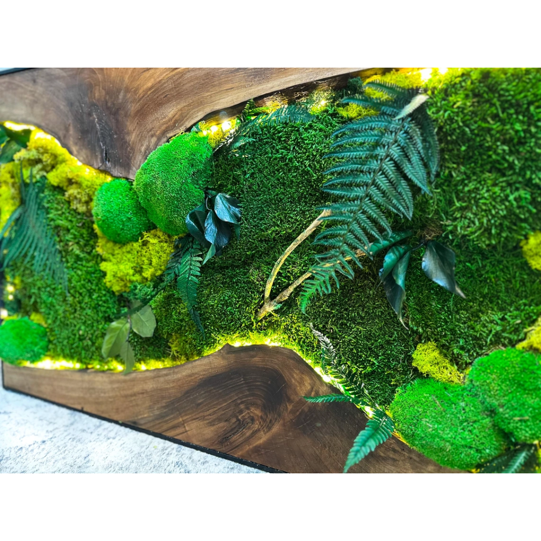 Moss Wall Art with Led Lights