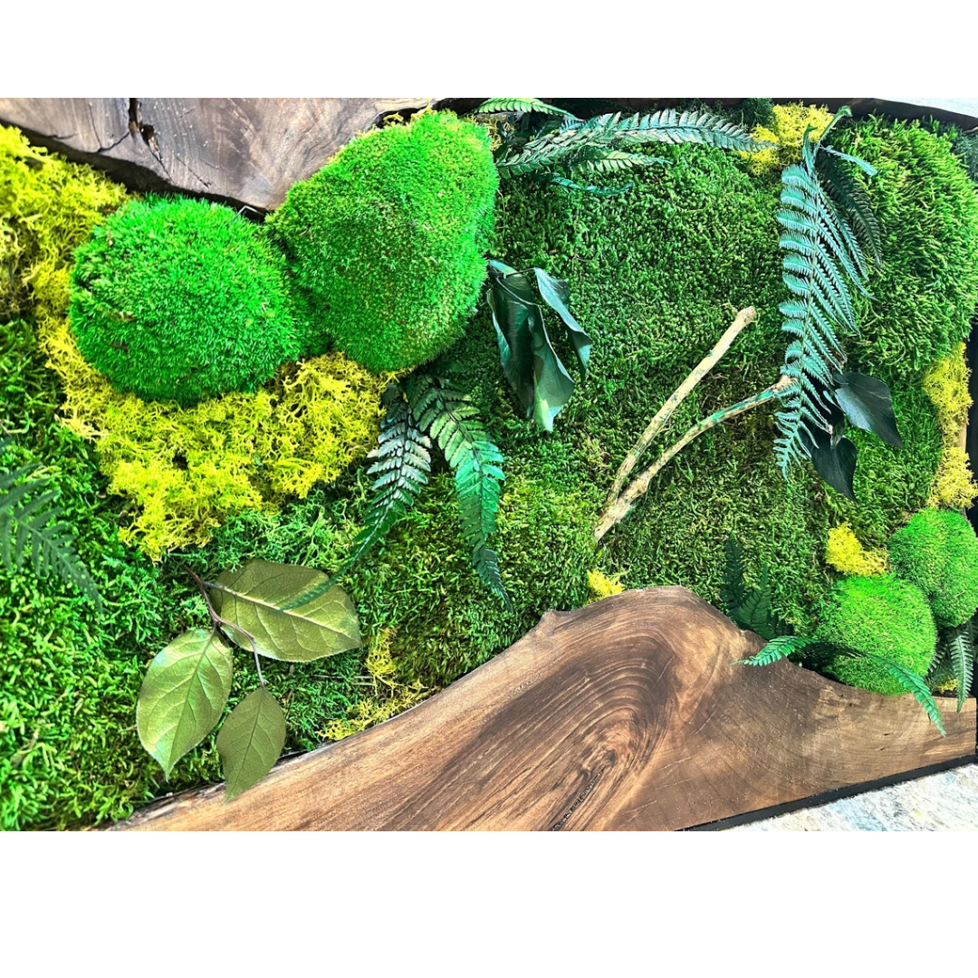 Moss Wall Art with Led Lights