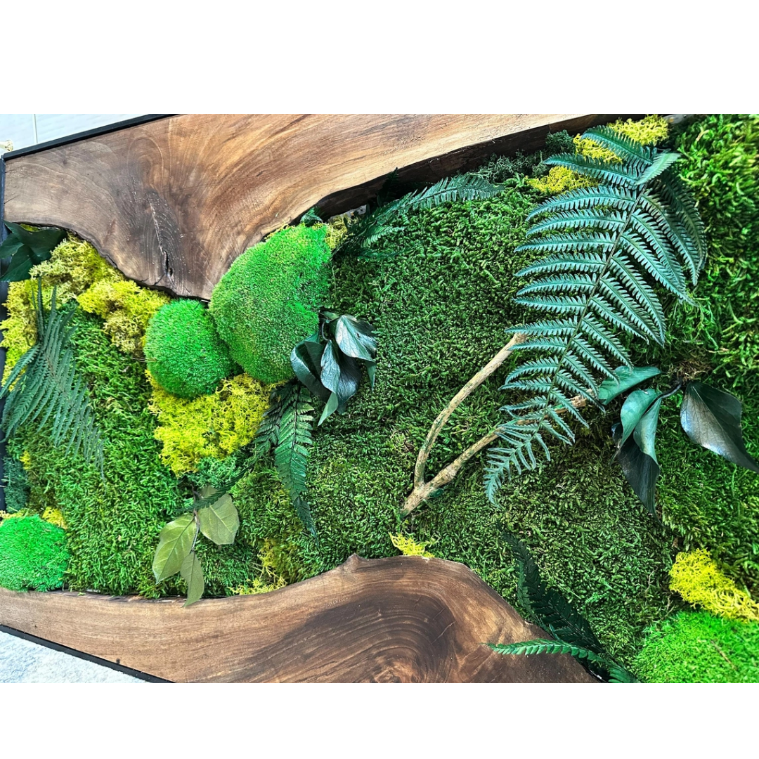 Moss Wall Art with Led Lights