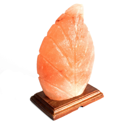 Fern Salt Lamp
