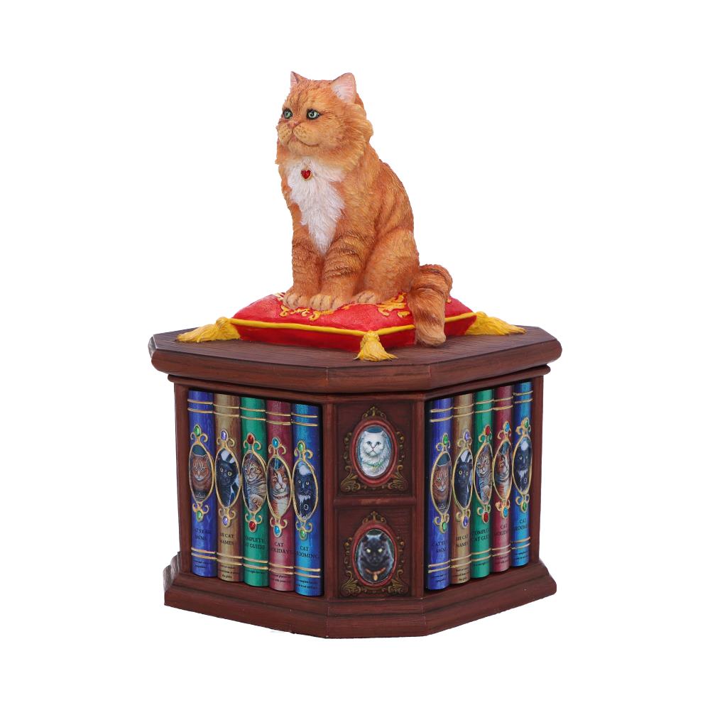 Mad About Cats Box Sculpture