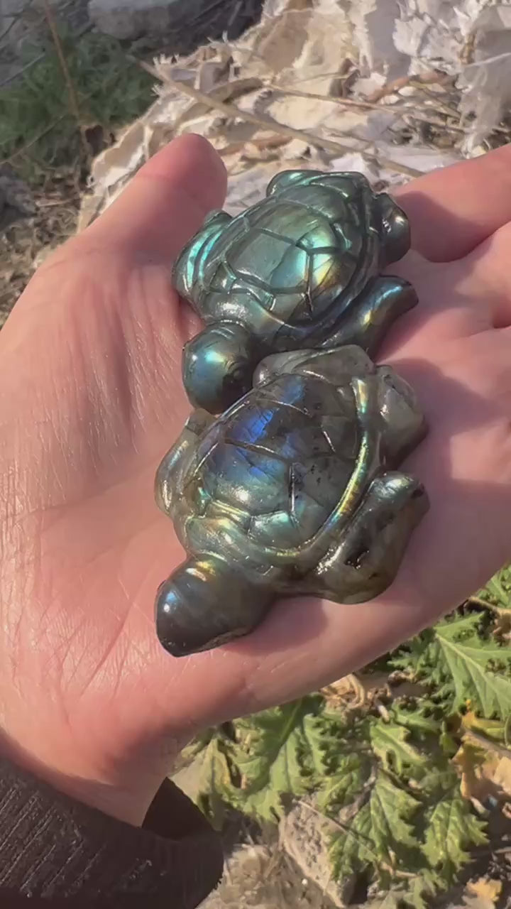 Labradorite Turtle Crystal