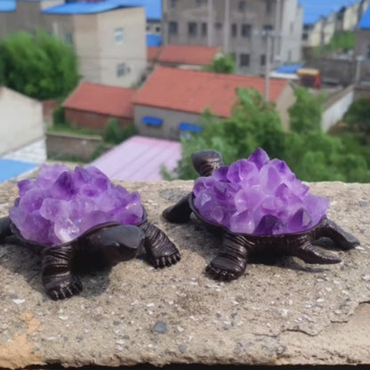 Amethyst Tortoise Crystal