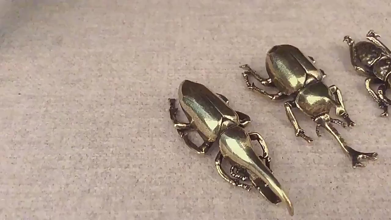 Brass Beetle Ornaments