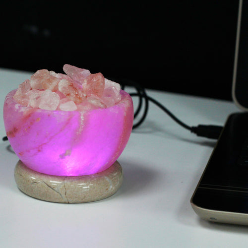 Himalayan Crystal Salt Lamp - Floral Fawna