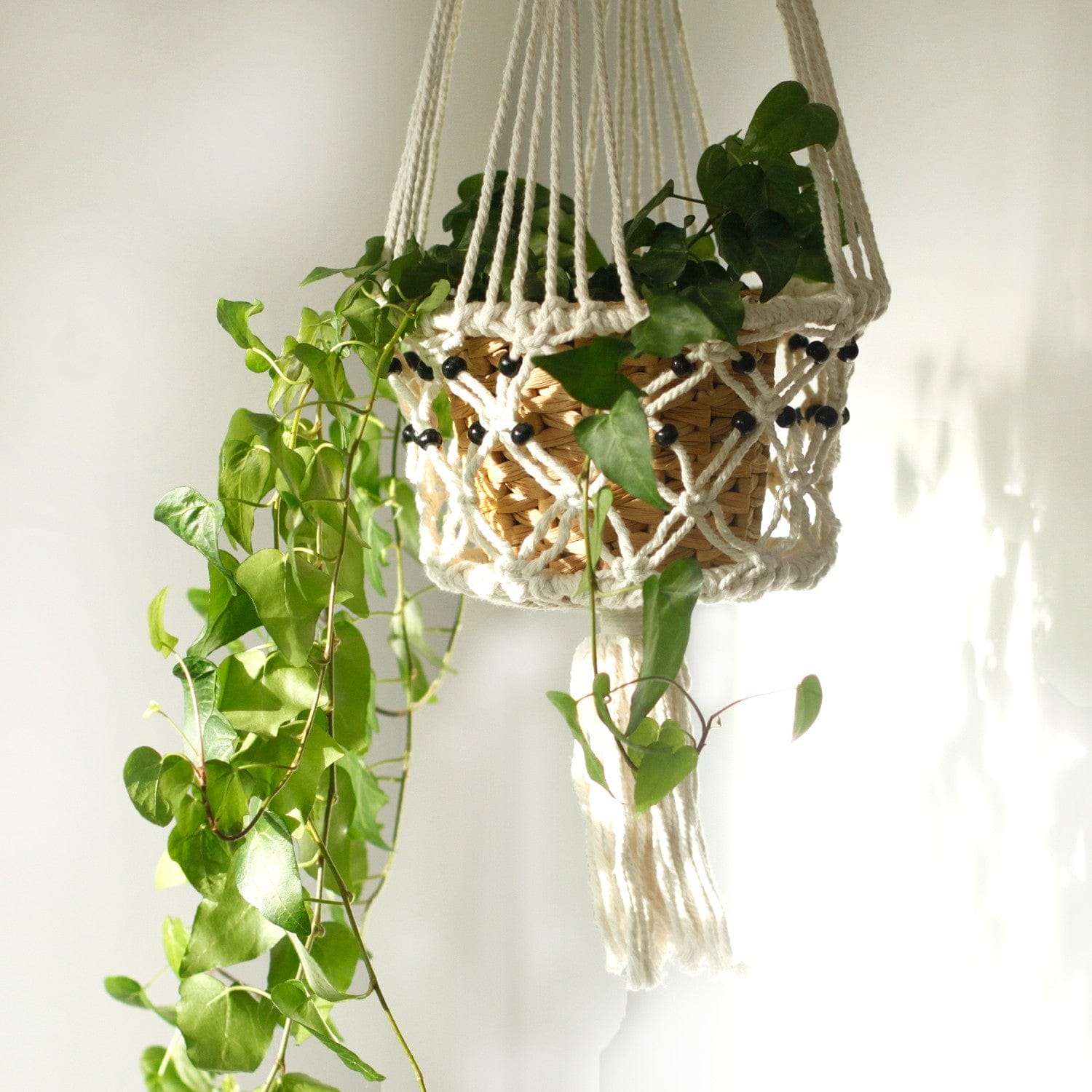 Macrame Plant Pot Holder - Floral Fawna