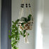 Macrame Plant Pot Holder - Floral Fawna