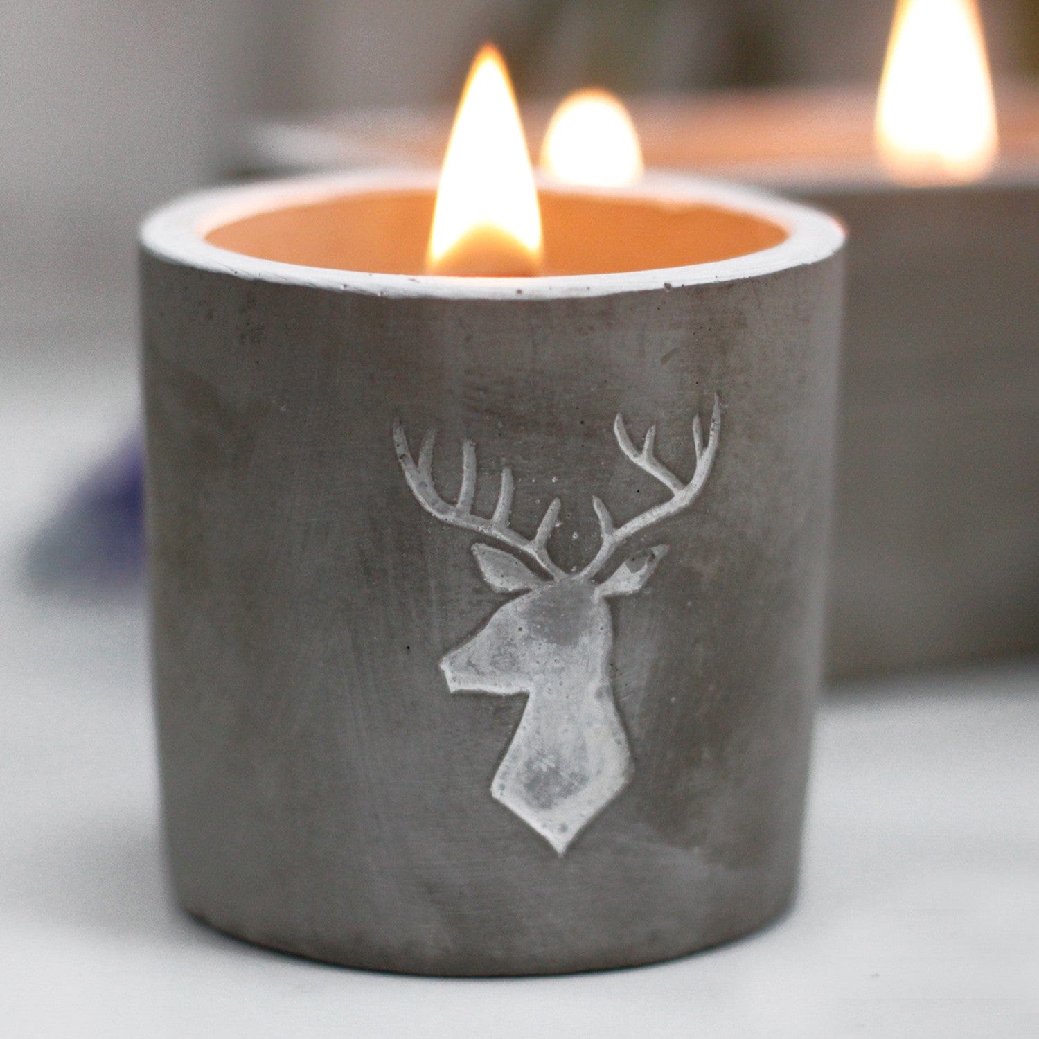 Stag Concrete Wooden Wick Candle - Floral Fawna