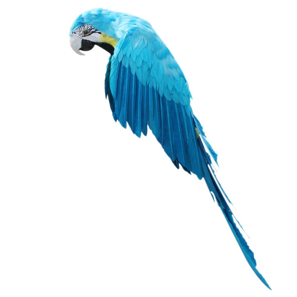 Artificial Parrot Ornament - Floral Fawna