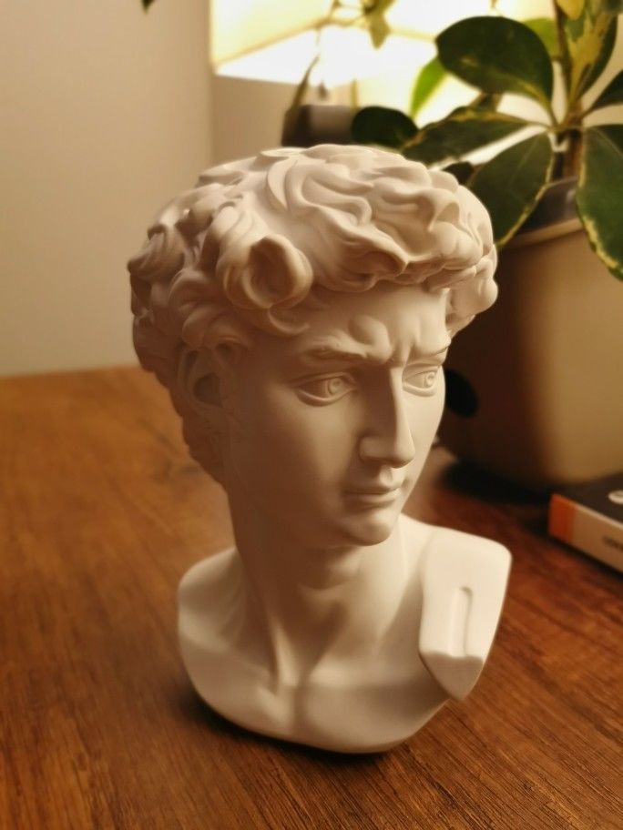 Michelangelo David Statue - Floral Fawna