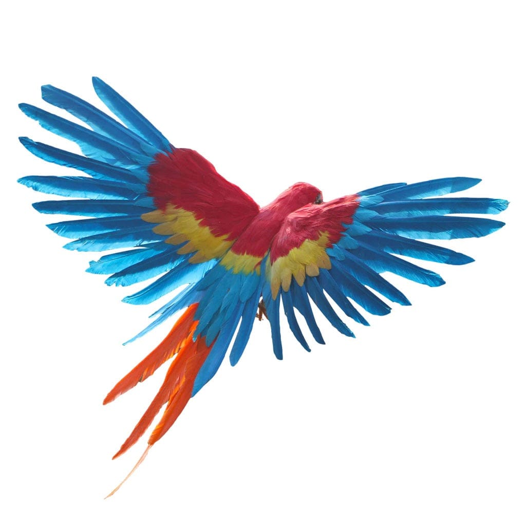 Artificial Parrot Ornament - Floral Fawna