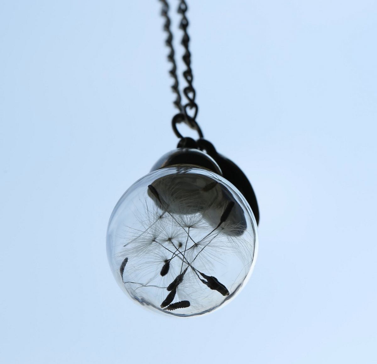 Real Dandelion Seeds Necklace - Floral Fawna