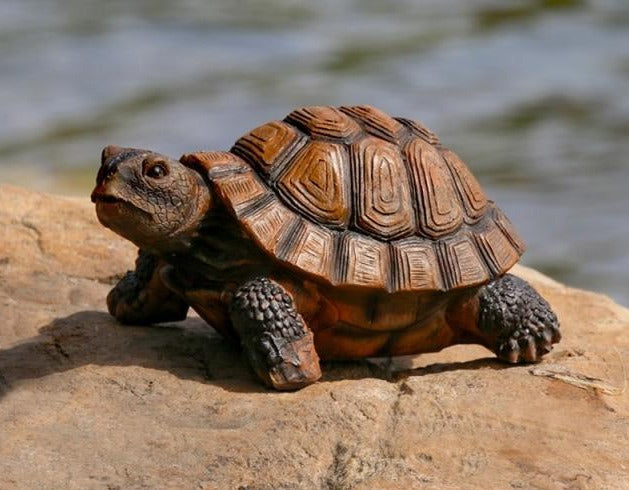 Tortoise Garden Ornament - Floral Fawna