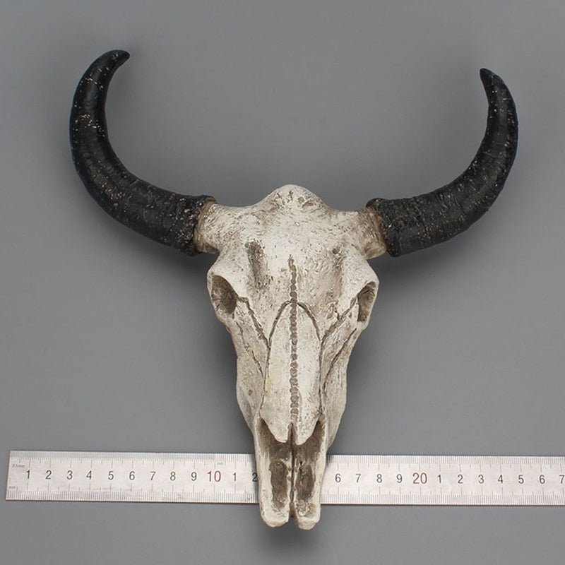 Taxidermy Cow Skull Wall Hanging - Floral Fawna