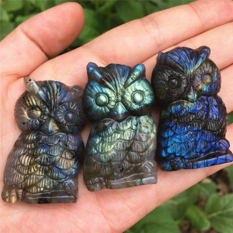 Labradorite Owl Crystal - Floral Fawna