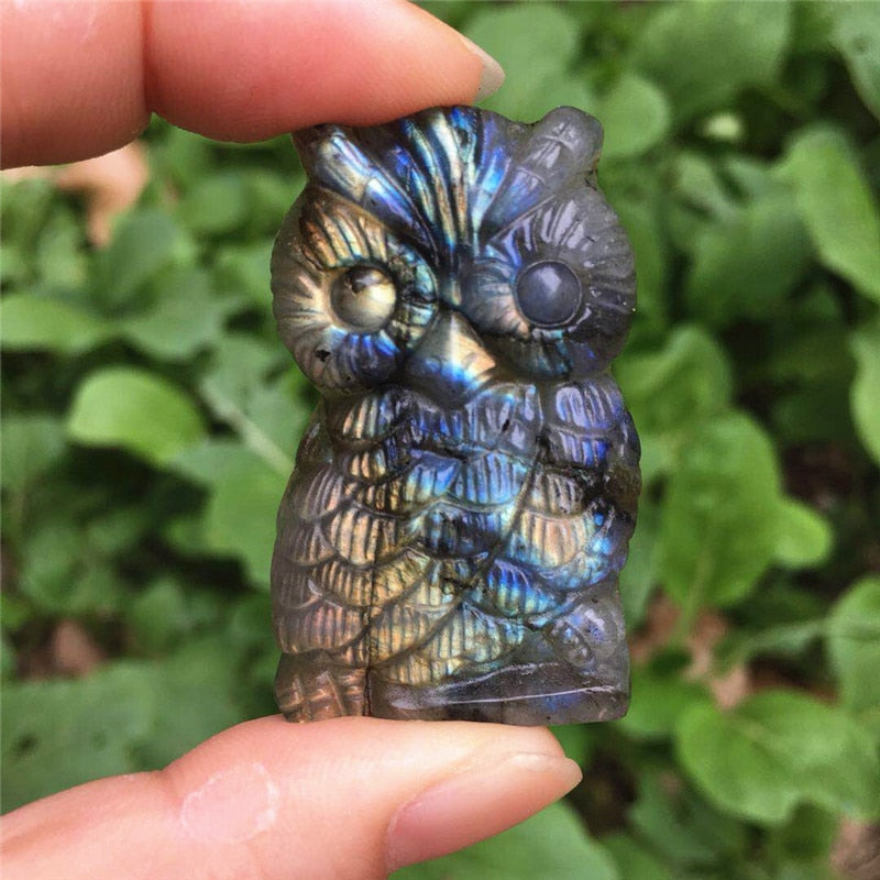 Labradorite Owl Crystal - Floral Fawna