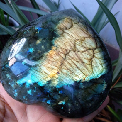 Labradorite Heart Crystal - Floral Fawna