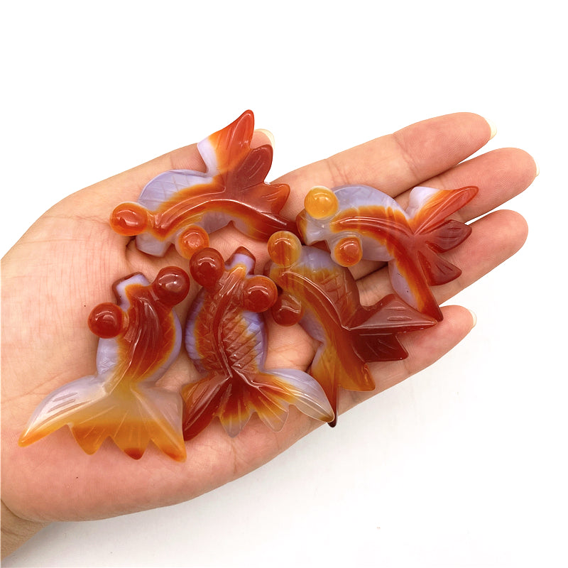 Carnelian Agate Goldfish - Floral Fawna