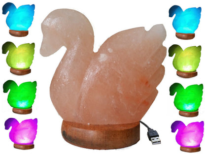 Himalayan Swan Salt Lamp - Floral Fawna