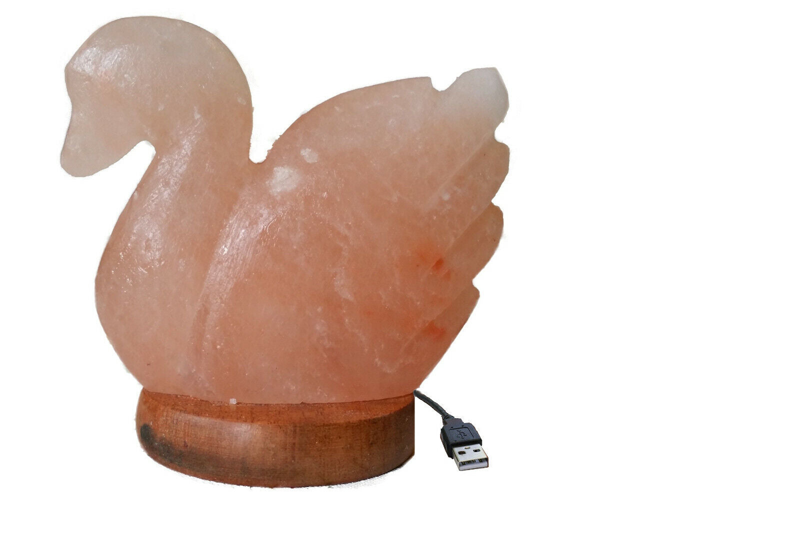 Himalayan Swan Salt Lamp - Floral Fawna