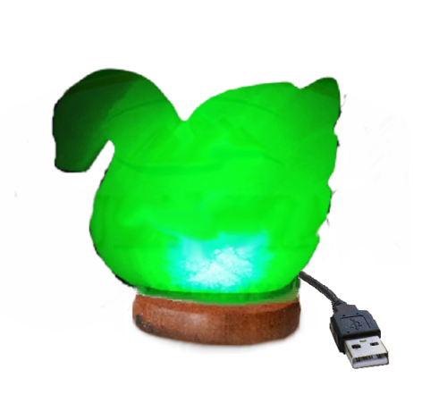 Himalayan Swan Salt Lamp - Floral Fawna