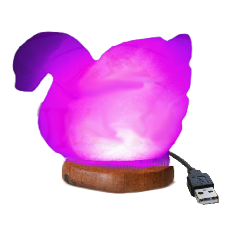 Himalayan Swan Salt Lamp - Floral Fawna